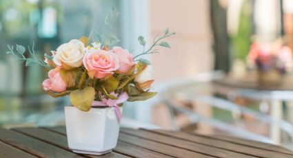 Plantas y flores que debes poner en tu jardín para atraer colibríes, abejas y mariposas