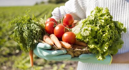 5 VEGETALES que se siembran durante OTOÑO para cosechar durante invierno y primavera