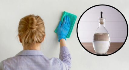 Cómo limpiar las paredes blancas de tu casa con VINAGRE en 10 minutos