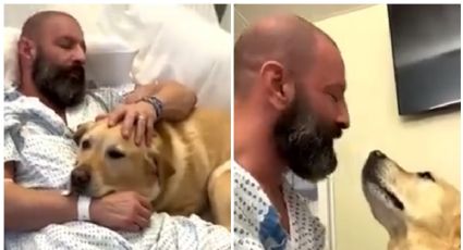 Perrito se vuelve VIRAL por cuidar a su dueño hospitalizado y enternece a los usuarios en redes sociales | VIDEO