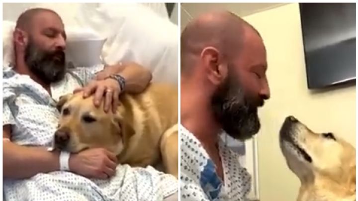 Perrito se vuelve VIRAL por cuidar a su dueño hospitalizado y enternece a los usuarios en redes sociales | VIDEO
