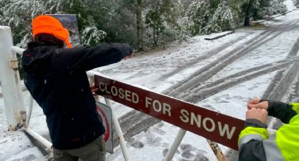 California bajo alerta por "fría y peligrosa” tormenta de nieve