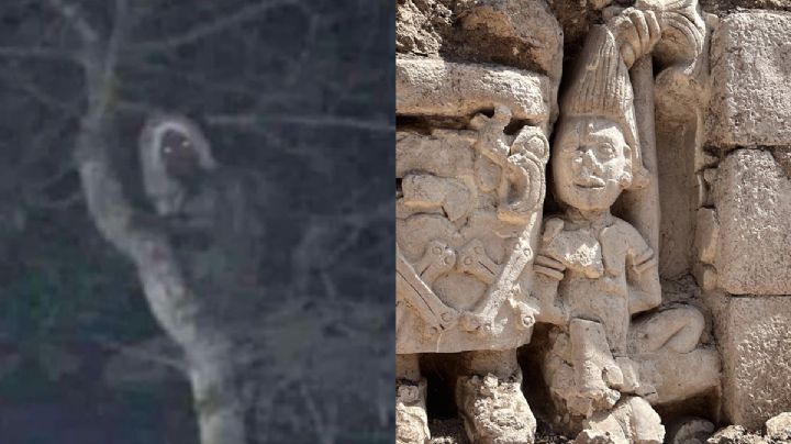 ¿Qué es un aluxe, la criatura mágica supuestamente fotografiada en obras del Tren Maya?