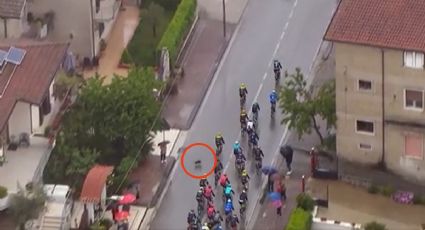 Perrito provoca FUERTE accidente en el Giro de Italia | VIDEO