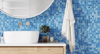 3 colores ideales para que el BAÑO sea vea LIMPIO y no sucio (son elegantes)