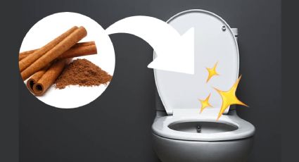 Canela, el secreto perfecto para quitar el MAL AROMA a la taza de baño