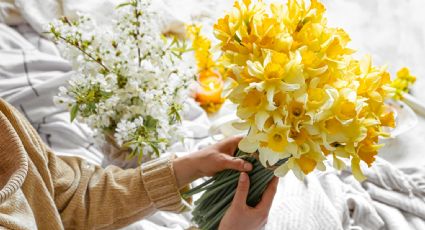 ¿Por qué se regalan flores amarillas el 21 de septiembre? | SIGNIFICADO