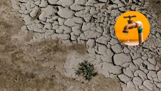 México: Los 10 estados más afectadas por la sequía y el desabasto de agua