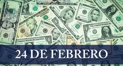 ¿Cuál es el precio del dólar HOY en México? Cambio a pesos mexicanos este 24 de febrero 2024