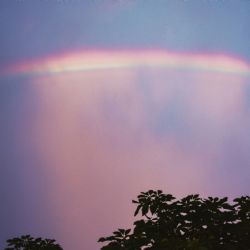 Arco circunhorizontal: Captan misterioso arco iris de fuego en Ohio | VIDEO
