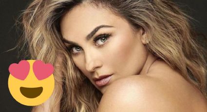 Aracely Arámbula luce como toda una tigresa en sexy bikini naranja