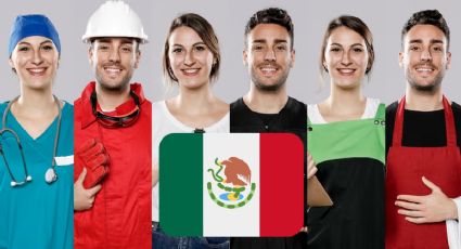 ¿Cuáles son las 5 carreras mejor pagadas en México en 2024?